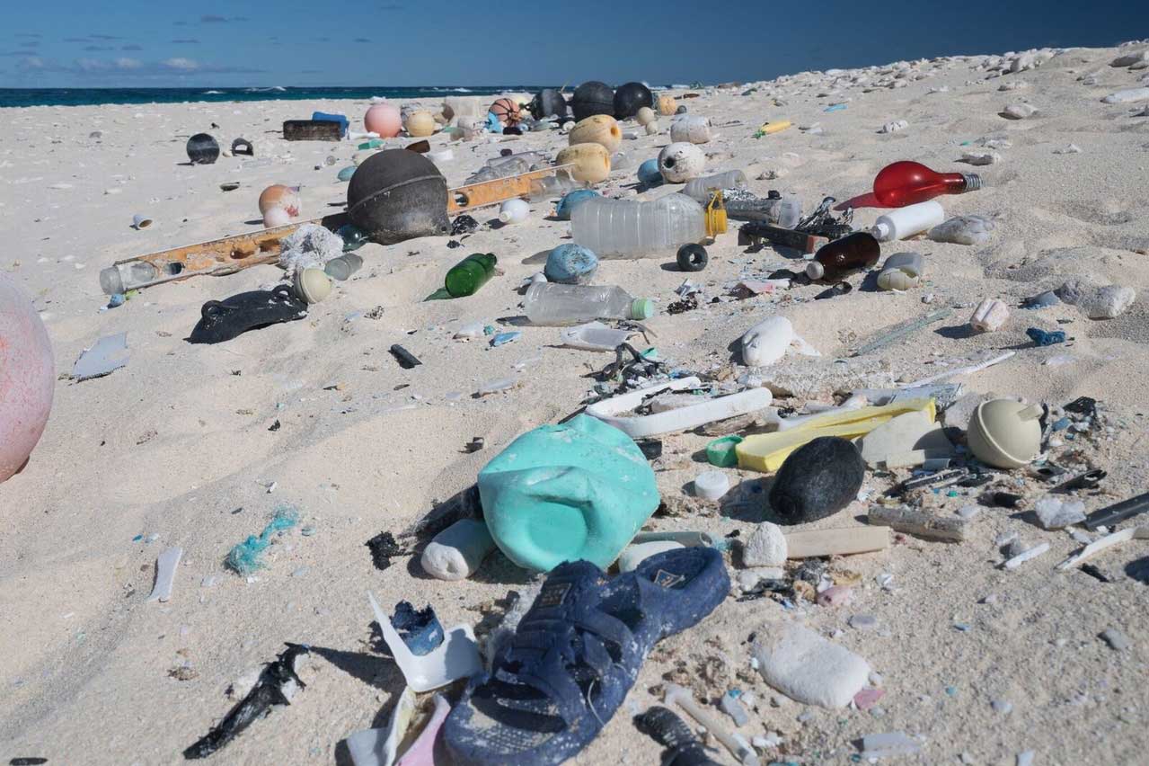 Marine debris found on a beach in the Pacific