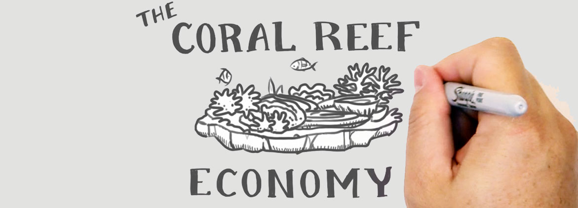 The coral reef economy