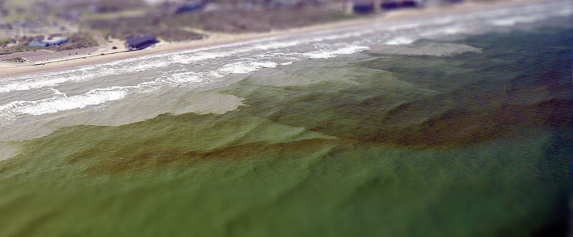 an image of red tide in Texas
