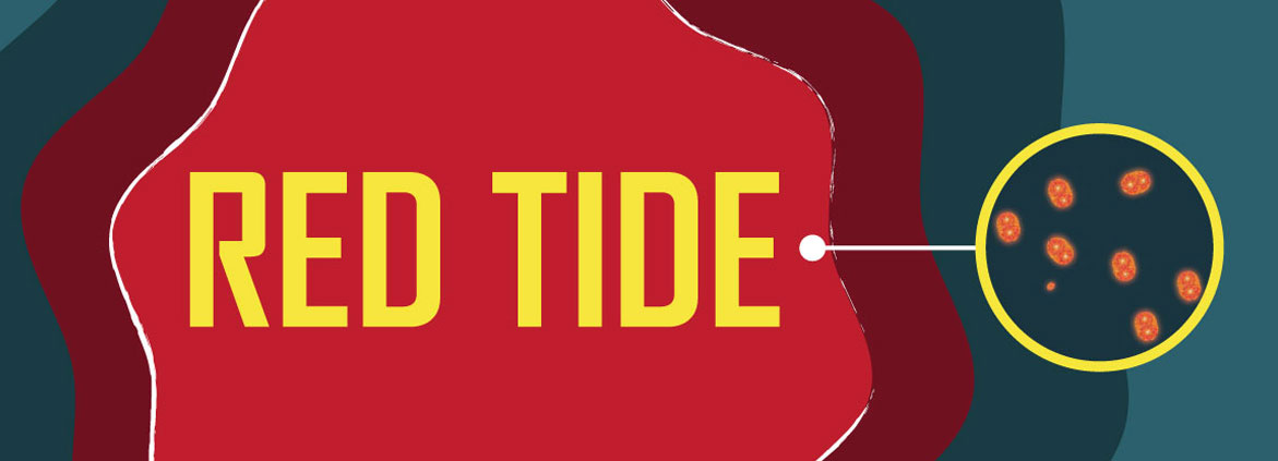red tide graphic