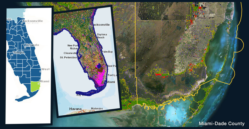 multiple images of land cover over Florida