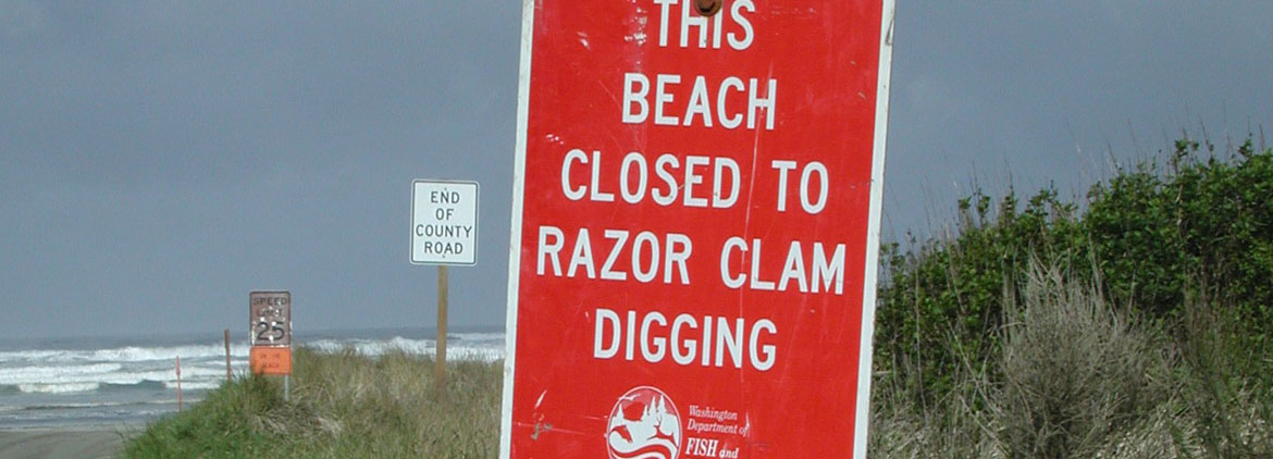 sign showing closed beach due to algal bloom