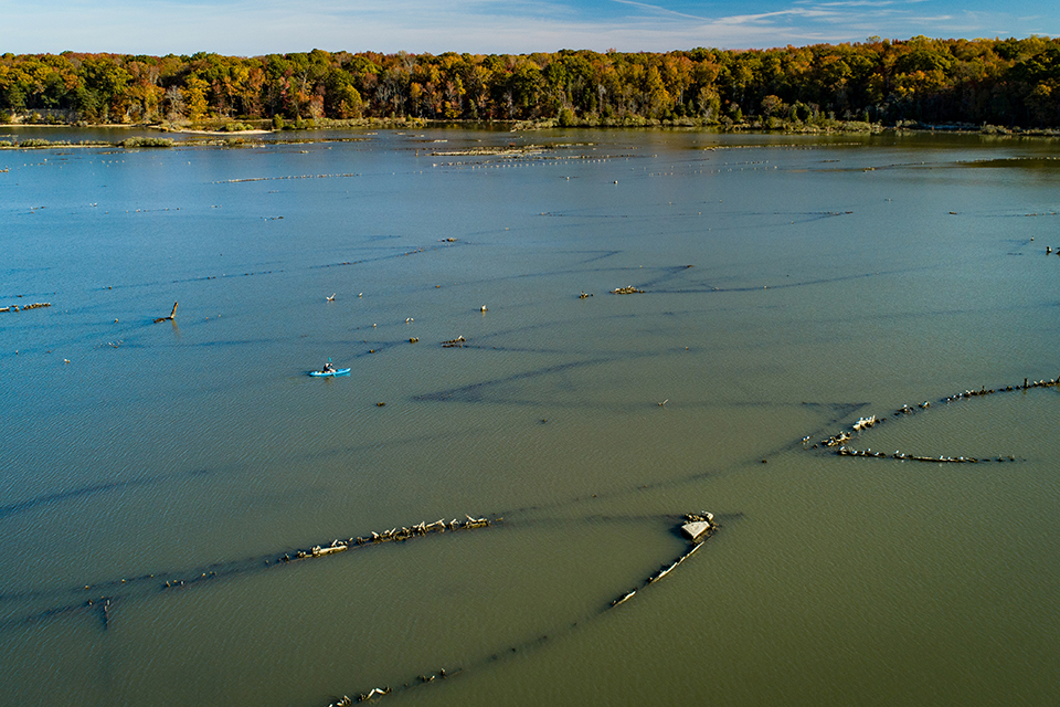 A kayaker explores the shipwrecks of Mallows Bay-Potomac River National Marine Sanctuary