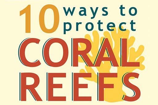 Coral infographic