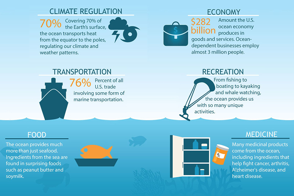 Our ocean infographic