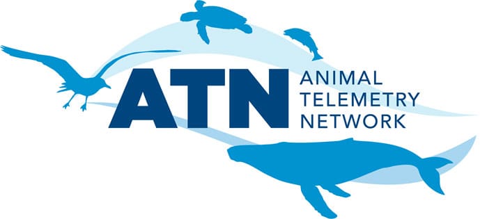 Animal Tracking Network logo