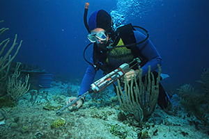 A biologist uses a glue gun to reattach a piece of living coral broken loose when a boat went aground on the shallow coral reef