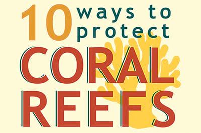 Coral reef infographic