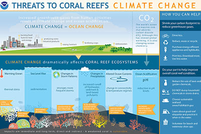 Coral reef climate change infographic