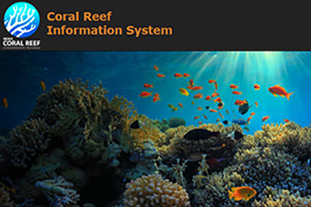 Coral Reef Information System