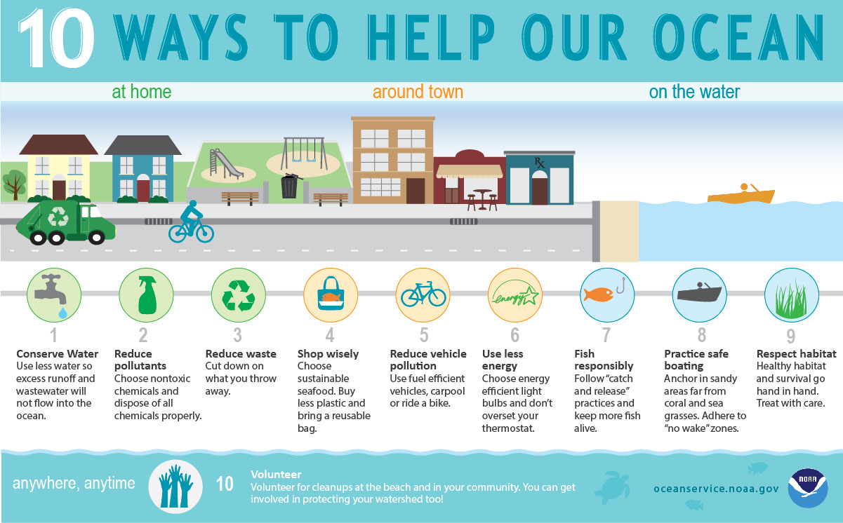 infographic showing how you can help our ocean