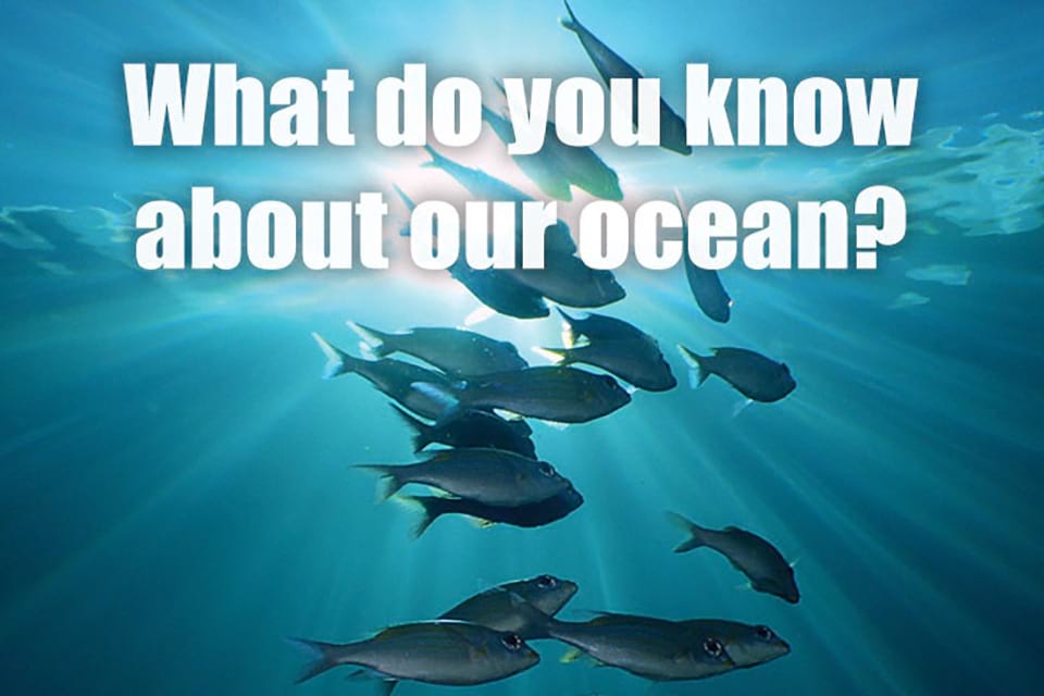 What do you know about our ocean?