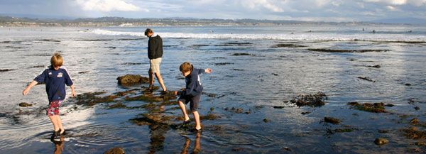 family explores a national marine sanctuary