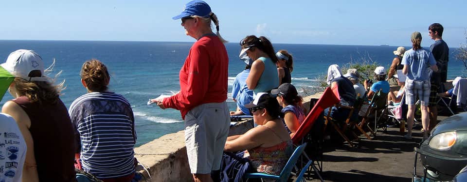 volunteers counting whales in Hawaii