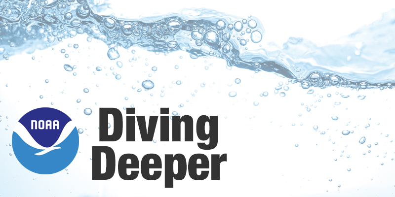Diving Deeper podcast icon