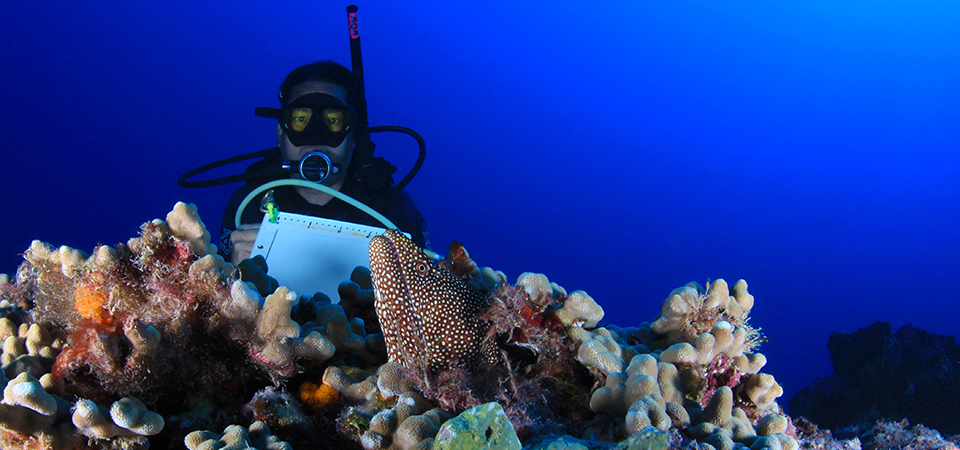 Papahānaumokuākea Marine National Monument deputy superintendent Randy Kosaki diving on a coral reef