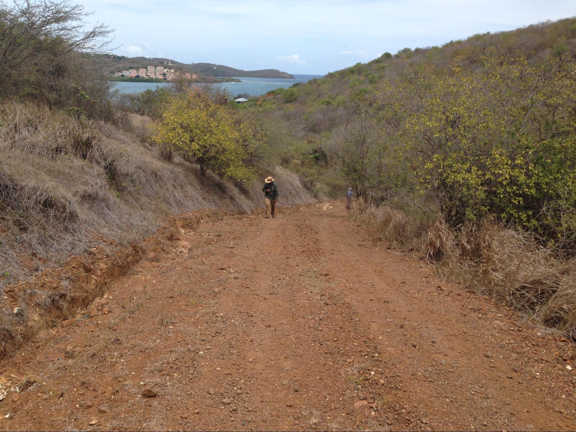 Unpaved road on the island of Culebra. Unpaved roads on the island are significant sources of sediment pollution to nearshore seagrass and coral reef habitats.