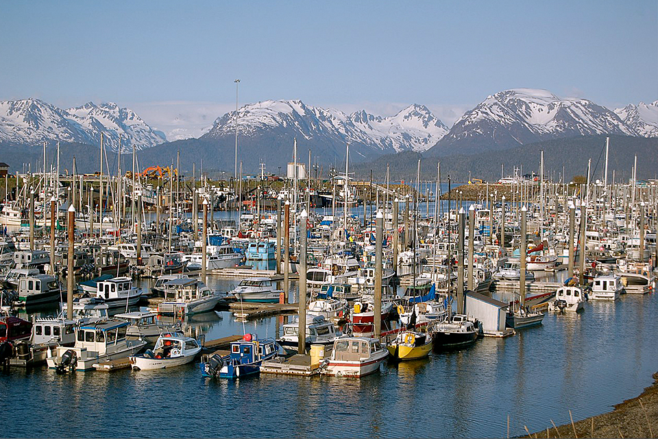Homer Alaska port with ships in dock