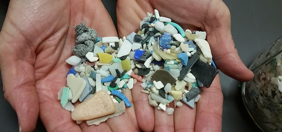 NOAA scientist holds an assortment of microplastics