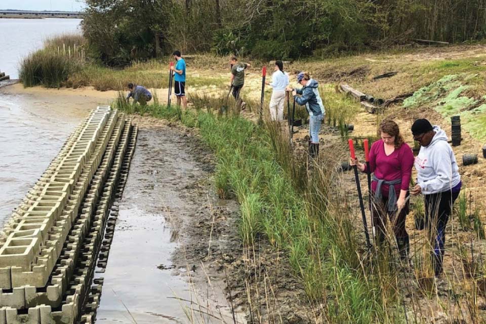 Volunteers plant natural grasses safely behind a newly constructed breakwater, which is part of a living shoreline project, at Camp Wilkes in Biloxi, Mississippi. The breakwater’s role is to reduce erosion on the shoreline by decreasing the wave energy and allowing plants to grow on the shore. (Mississippi-Alabama Sea Grant).