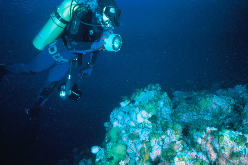 Cordell Expeditions diver exploring the bank in the early 1980s
