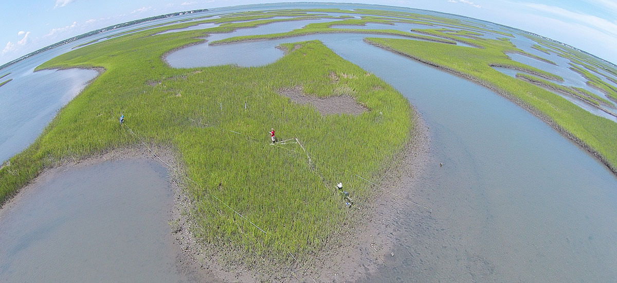 middle marsh survey