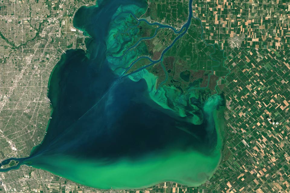 Overhead photo depicting harmful algal blooms