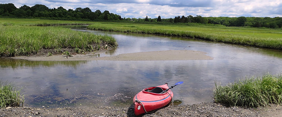 salt marsh with kayak