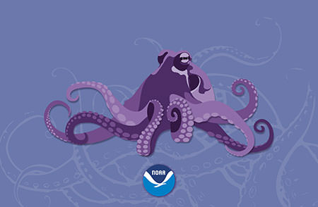 octopus wallpaper